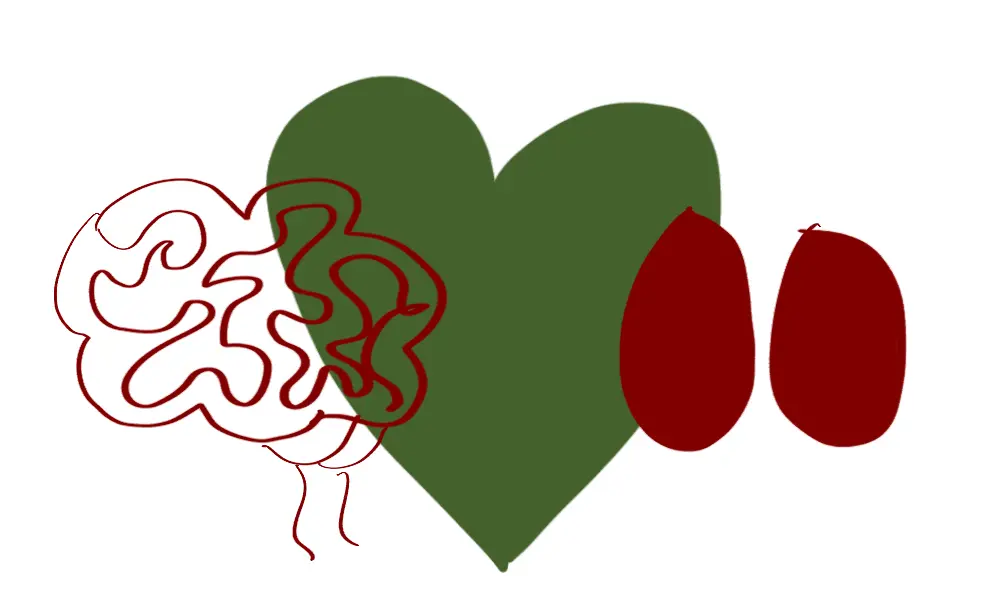July 2023 Lessons – Cabeza. Corazón. Cojones. featured image